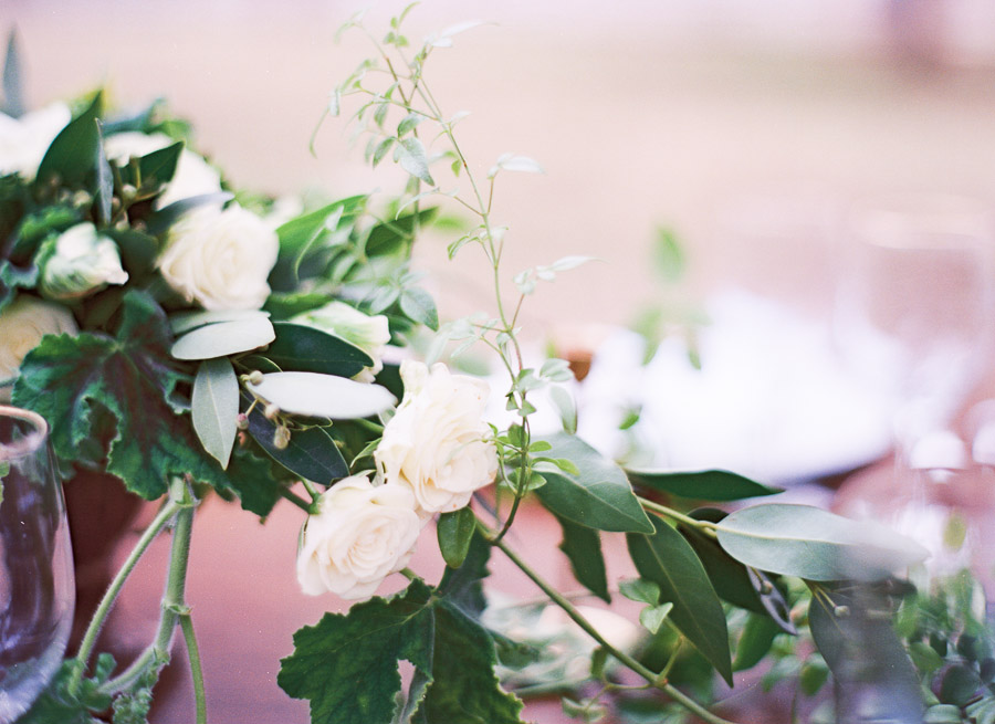 Mary Claire Photography-23