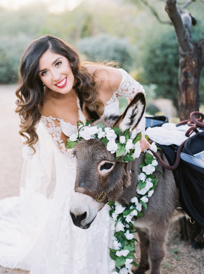 four seasons wedding photography, beer burro